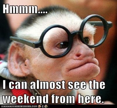 I can almost see the weekend weekend friday days of the week thursday weekend quotes happy weekend Funny Monkey Pictures, Monkey Memes, Jw Humor, Monkey Pictures, Monkey Face, Birthday Wishes Funny, Funny Animal Photos, Animal Magic, A Monkey