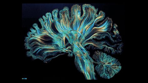 Neuroscience Aesthetic Wallpaper Desktop, Brain Waves Neuroscience, Brain Wallpaper Desktop, Neurosurgeon Aesthetic Wallpaper Laptop, Neuron Aesthetic, Human Brain Aesthetic, Biotech Aesthetic, Neuroscience Wallpaper, Neuroscience Aesthetic