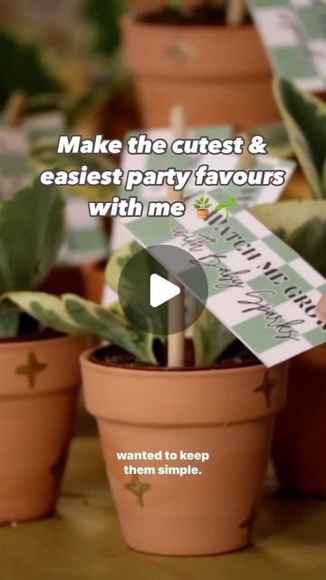 Ariana • Victoria’s Custom Sign Girl on Instagram: "THE EASIEST (& CUTEST) PARTY FAVOURS 🪴   This may have been my favourite part of this shower 🥹  This was such a simple, easy and budget friendly party favour and everyone loved them! This would be such a fun activity to do at a smaller shower - everyone gets a new little plant baby to take home and watch grow as the baby grows, and you get to make a custom little pot to commemorate the day by! These came out to about $2.00CAD per favour - factor a little bit more into your budget if you’re gathering painting supplies as a shower activity!   All you need is:  - mini clay pots from the dollar store or @michaelsstores  - 2” tropical plants from your local nursery, @canadiantire or @homedepot / @homedepotcanada  - paint, stickers or whateve Mini Clay Pots, Decorating Terra Cotta Pots, Easy Party Favor, Plant Games, Mini Clay, Small Showers, Baby Shower Stickers, Fun Activities To Do, Mini Plants