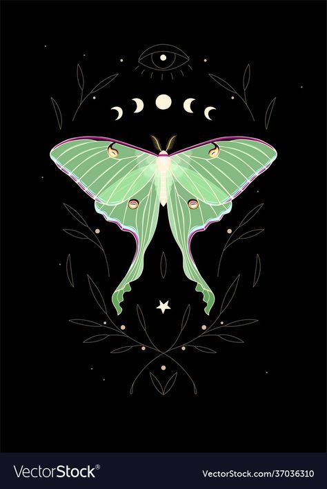 Lunar Moth Tattoo, Luna Moth Tattoo, Moth Drawing, Moth Tattoo Design, Cute Moth, Moth Illustration, Lunar Moth, Moon Moth, Moon Cycle