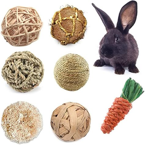 Pet Rabbit Toys, Bunny Supplies, Bunny Activities, Pet Ball, Pet Bunny Rabbits, Bunny Stuff, Rabbit Cages, Bunny Care, Pet Guinea Pigs