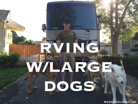 Rv Dog, Travel Trailer Organization, Travel Trailer Living, Pet Camping, Living With Dogs, Travel Trailer Camping, Trailer Living, Travel Trailer Remodel, Rv Living Full Time