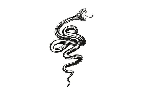 Viper Snake Tattoo, Viper Tattoo, Tooth Tattoo, Viper Snake, Tattoo Pictures, Tattoo Butterfly, Desktop Background Pictures, Biker Clubs, Snake Bites