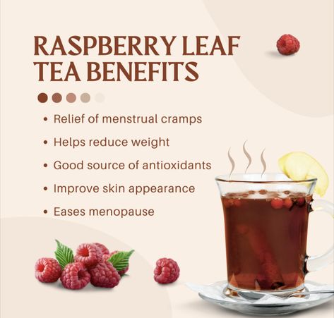 Red Raspberry Leaf Tea Benefits Period, Raspberry Tea Benefits Period, Red Clover Tea Benefits, Raspberry Tea Benefits, Cranberry Tea Benefits, Raspberry Tea Recipe, Ginseng Tea Benefits, Red Raspberry Leaf Tea Benefits, Rasberry Leaf Tea