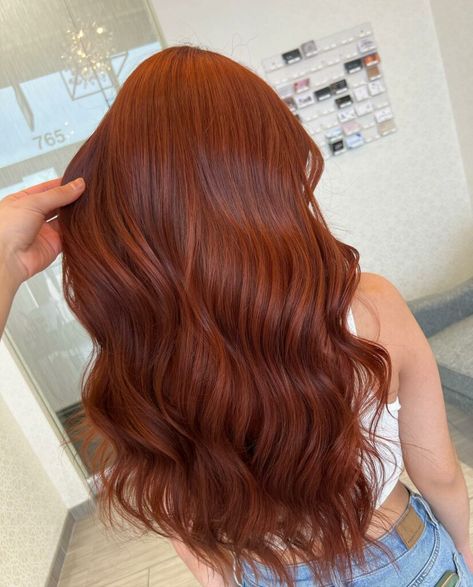 Copper Orange Hair, Dark Orange Hair, Dark Ginger Hair, Cheveux Oranges, Hair Color Orange, Red Hair Inspo, Wine Hair, Ginger Hair Color, Hair Color Auburn