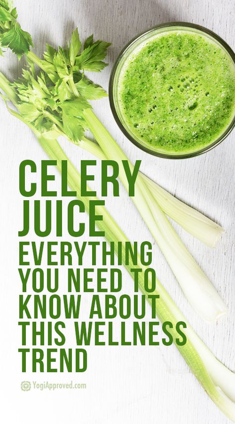 Celery Juice Benefits: Here’s What You Need to Know About this Wellness Trend Exercise For Back Pain, Exercise For Back, Tone Your Back, Celery Juice Benefits, Juice Benefits, Healthy Nutrition Plan, Celery Juice, Wellness Trends, Health Trends