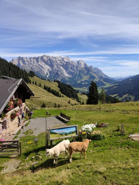 Hochkönig at the Berchtesgadener Alpen Austria - ThorGift.com - If you like it please buy some from ThorGift.com Hiking In Austria, Swiss Alps Hiking, Austria Nature, Hiking Aesthetic, September 2024, Beautiful Places To Travel, Travel Inspo, A Train, Country Life