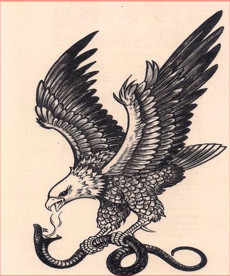 Vintage eagle and snake Japanese Raven Tattoo, Japanese Crow Tattoo, Snake Eagle Tattoo, Japanese Bird Tattoo, Eagle Snake Tattoo, Eagle And Snake Tattoo, Nordic Raven Tattoo, A Snake Tattoo, Raven Drawing