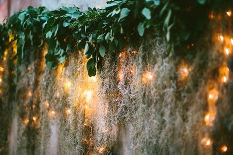 Spanish Moss Table Decor, Spanish Moss Wedding Arch, Spanish Moss Wedding Decor, Spanish Moss Decor, Moss Backdrop, Spanish Moss Wedding, Eucalyptus Backdrop, Beaufort Wedding, Bayou Wedding