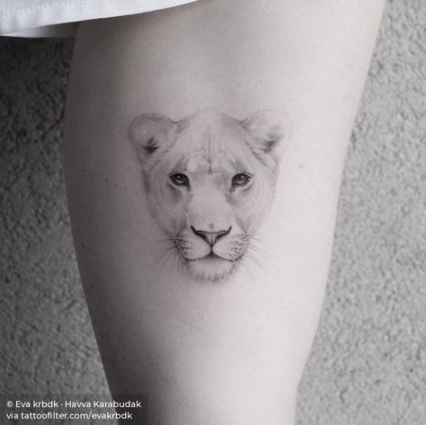 Small Lion Tattoo For Women, Lioness Tattoo Design, Small Lion Tattoo, Small Animal Tattoos, Animal Tattoos For Women, Lioness Tattoo, Famous Tattoo Artists, Lion Head Tattoos, Explore Tattoo