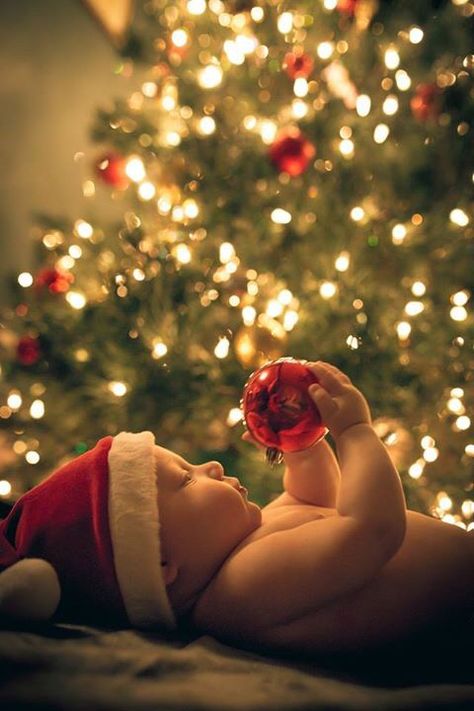 Holiday Baby Pictures, Vom Avea Un Copil, Baby Christmas Photography, Photo Bb, Christmas Baby Pictures, Foto Kids, Baby Milestones Pictures, Baby Christmas Photos, Xmas Photos