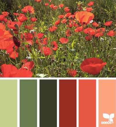 Green Kitchen Decor, Seeds Color, Color Dream, Colour Ways, Red Rooms, Color Palate, Design Seeds, Color Stories, Blog Design