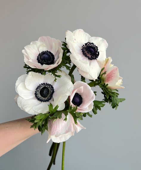 Pure and pristine, these Anemone blooms bring an air of simplicity and elegance to the garden. Anenome Flower, Anemone Bridal Bouquet, Anemone White, Anemone Wedding, Anemone Bouquet, Simple Wedding Bouquets, Bridal Bouquet Blue, Goth Garden, Wedding Bubbles