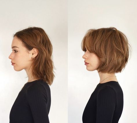 Sassy Bob Haircut With Bangs, Soft Mullet Undercut, Asymmetrical Bob Curtain Bangs, Punk Rock Bob Haircut, Bixie Curtain Bangs Round Face, Short Bob With Curtain Bangs Round Face, Edgy Short Haircuts For Thick Hair, Short Haircuts For Damaged Hair, Cub Cut Hairstyle