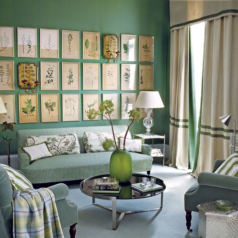 This jade green living room looks so fresh with botanical prints! Living Vintage, Design Salon, Framed Botanicals, Vintage Botanical Prints, Living Room Green, Design Del Prodotto, Green Rooms, New Living Room, Green Wall