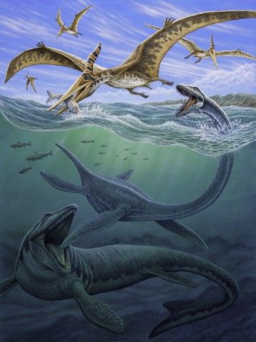 Sea Dinosaurs, Fish Gallery, Saint George And The Dragon, Dinosaur World, Dinosaur Photo, Prehistoric Wildlife, Dinosaur Illustration, Prehistoric World, Prehistoric Art