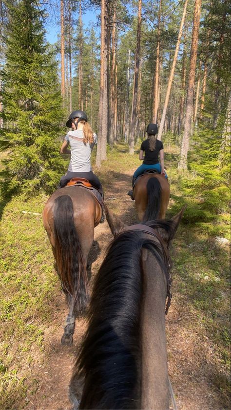 Horseback Riding Aesthetic, Horseback Riding Outfit, Aesthetic Equestrian, Riding Outfit Equestrian, Travel To Australia, Horse Riding Aesthetic, Horsey Life, Horseback Riding Outfits, Cai Sălbatici