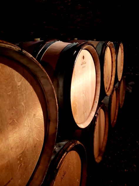 Wine Maker, French Wine, Oak Barrel, Wine Tour, Small Family, Wine Bar, Wine Cellar, Some People, White Wine