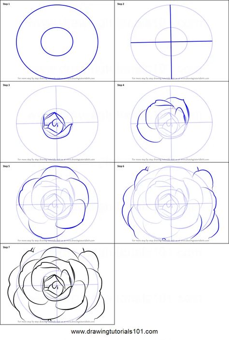 How to Draw a Camellia Flower printable step by step drawing sheet : DrawingTutorials101.com Camellia Flower Sketch, Camilla Flower Drawing, Camellia Flower Painting, Drawing 101 Step By Step, Camellia Flower Illustration, Camelia Watercolor, Camelia Drawing, How To Draw Roses Step By Step, Camellia Flower Drawing