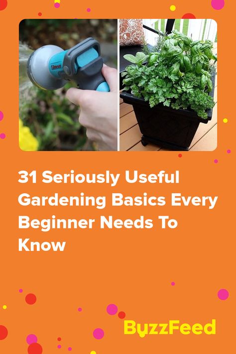 Gardening Basics, American Meadows, Mason Bees, Garden Shears, Soil Testing, Square Foot Gardening, Garden Store, Wildflower Seeds, Self Watering