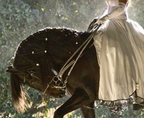 Fair maiden in flowing skirts riding a dark stallion. Fantasy. Warrior Princess Aesthetic, Medieval Princess, Horse Photographer, Medieval Aesthetic, Fantasy Princess, Horse Aesthetic, Bride Of Christ, Poses References, Princess Aesthetic