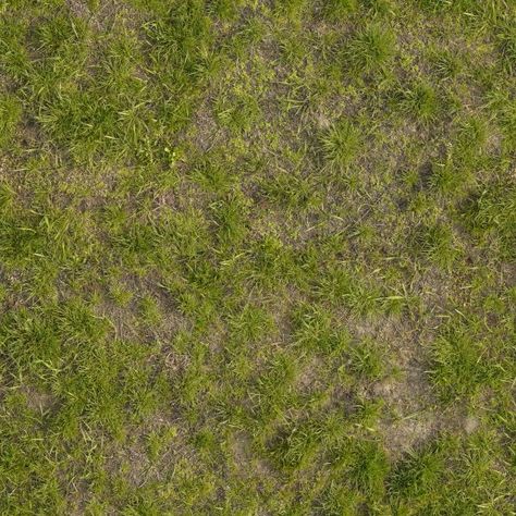 Texture consisting of inconsistent grass of varying types and lengths. Grass Texture Seamless, Free Texture Backgrounds, Sky Photoshop, Terrain Texture, Photoshop Landscape, Grass Texture, Texture Photoshop, Sims Mobile, Photoshop Rendering