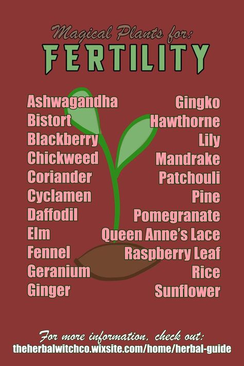 Herb Correspondences, Pregnancy Herbs, Plants And Their Uses, Herbs For Fertility, Pregnancy Spells, Magical Plants, Fertility Spells, Herbal Remedies Recipes, Fertility Health