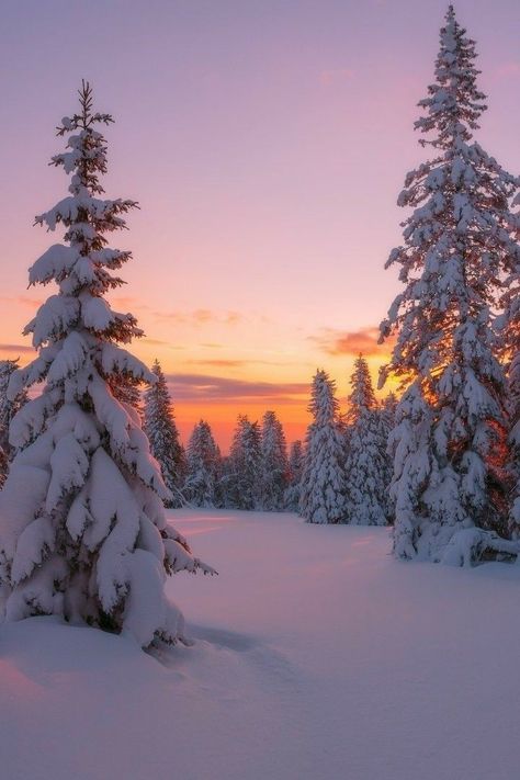 Winter Sunset, Winter Nature, Pretty Landscapes, Winter Wallpaper, Winter Scenery, Winter Beauty, Snow Scenes, Winter Pictures, Winter Wonder