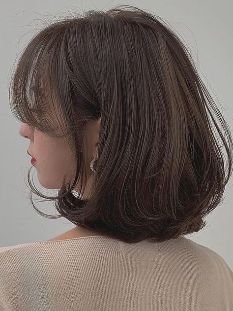 Korean fall hair color: ash brown short hair Korean Hair Color Shorthair, Korean Fall Hair Color, Ash Brown Short Hair, Korean Brown Hair, Hair Color Ash Brown, Dark Violet Hair, Brown Hair Korean, Dark Silver Hair, Hair Color Ash