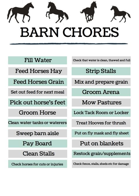 First Horse Checklist, Barrel Drills, Farm Accessories, Chores Checklist, Chores List, Barbie Pets, Horse Farm Ideas, Horse Ownership, Diy Horse Barn