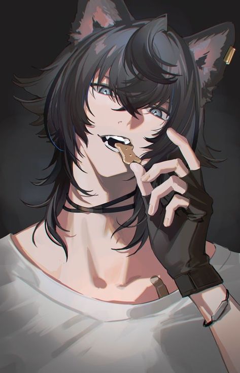 Wolf Human Hybrid Art, Wolf People, Black Hair Boy, Wolf Hybrid, Wolf Character, Hybrid Art, Anime Demon Boy, Anime Black Hair, Cat Boys