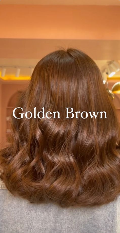 Copper Gloss Brown Hair, Pelo Color Chocolate Claro, Golden Brown Hair Color Honey, Hair Colors For Medium Skin Tone, Marron Chocolat Hair, Light Honey Brown Hair Color Caramel, Deep Autumn Color Palette Hair, Maple Hair Color, Golden Honey Brown Hair