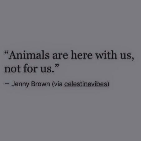 Quotes About Animals And Nature, May Life Treat You The Way You Treat Animals, Poetry About Animals, Talking To Animals Power Aesthetic, Animal Behaviorist Aesthetic, Animal Whisperer Aesthetic, Animal Shapeshifter Aesthetic, Zoophiles Arent Valid, Ellie Sattler Aesthetic