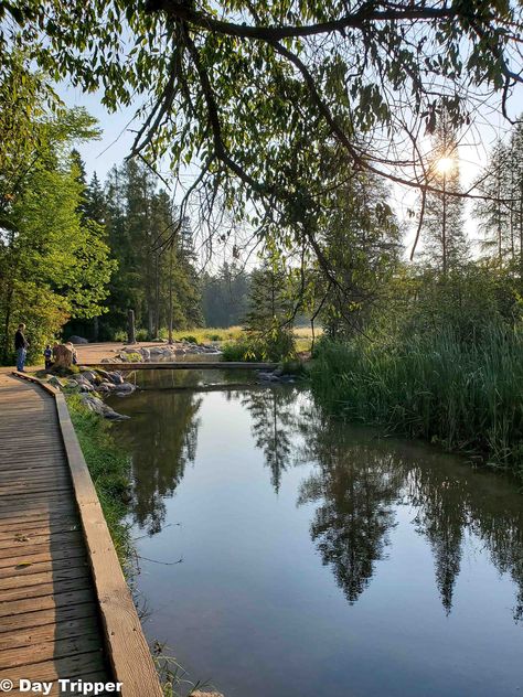 The Best Things to do at Itasca State Park 6 Minnesota Hiking, Mn State Parks, Itasca State Park, Hiking Club, Northern Minnesota, Minnesota State, Outdoor Enthusiast, Boat Tours, Bike Trails