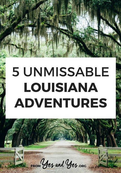 Things To Do In Louisiana, Louisiana Vacation, New Orleans Vacation, Louisiana History, Louisiana Travel, Shreveport Louisiana, Louisiana Usa, New Orleans Travel, Parc D'attraction