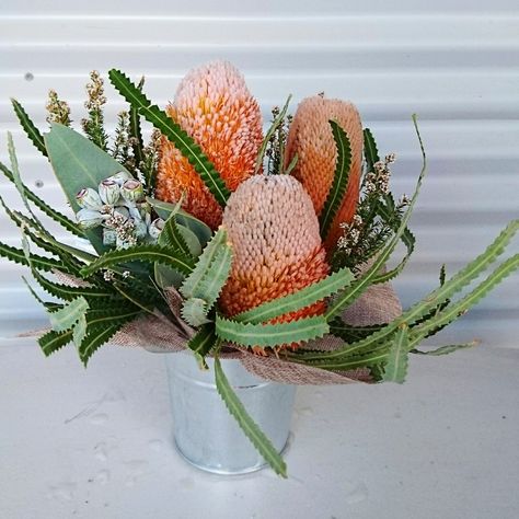 Banksia table centre arrangement by RANE flowers Banksia Flower Arrangement, Banksia Arrangement, Native Flower Arrangements, Banksia Flower, Australian Botanicals, Table Floral Decorations, Bush Wedding, Australian Native Garden, Table Flower Arrangements