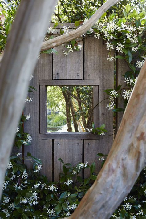 Australian Landscape Architect William Dangar at Home in Sydney: Downsizing a House to Expand the Garden Australian Landscaping, Derelict House, Australian Landscape, Back Garden Design, Australian Garden, Specimen Trees, Family Garden, French Garden, Garden Landscape Design