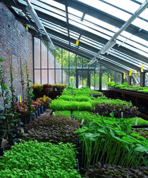 Burford Garden Company, Greenhouse Vegetables, Home Greenhouse, French Country Garden, Greenhouse Growing, Luxury Garden, Garden Route, Kew Gardens, Diy Planters