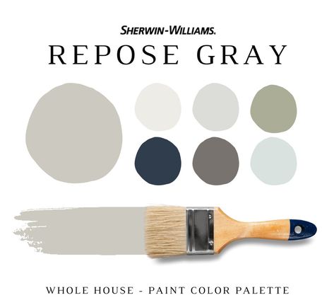 Sherwin Williams REPOSE GRAY Paint Color Palette Interior - Etsy Sherwin Williams Grey, Paint Sheen Guide, Paint Pallette, Material Color Palette, Sherwin Williams Alabaster, Sherwin Williams Color Palette, Sherwin Williams White, Balanced Beige, Shoji White