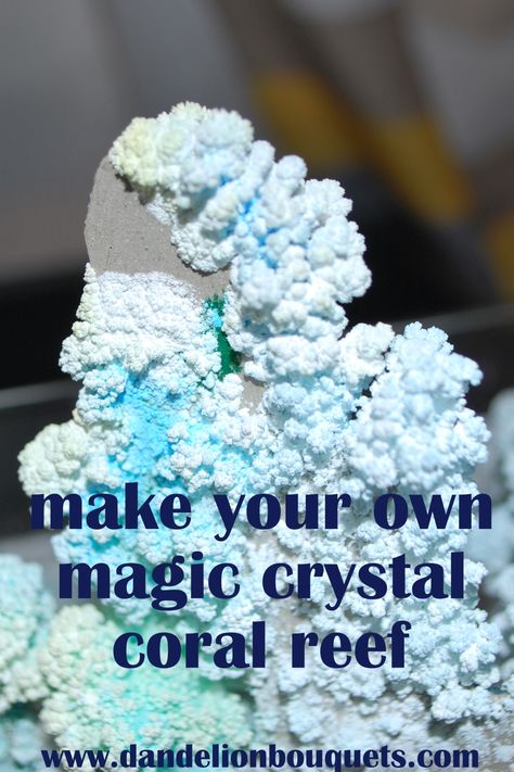 Crystal Science: How to Make Your Own Magic Crystal Coral Reef – dandelion bouquets Coral Reef Craft, Ocean Diorama, Fish Freshwater, Coral Reef Art, Crystal Trees, Ocean Habitat, Ocean Theme Preschool, Ocean Projects, Fish Tropical