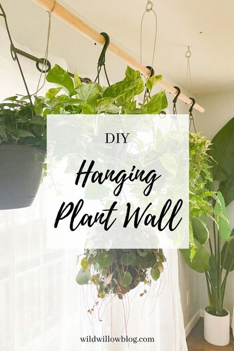 Hang Plants From Ceiling, Hanging Plant Ideas, Indoor Plant Wall, Hanging Plant Wall, Ivy Plants, Diy Plant Hanger, Diy Ceiling, Bathroom Plants, Plant Ideas