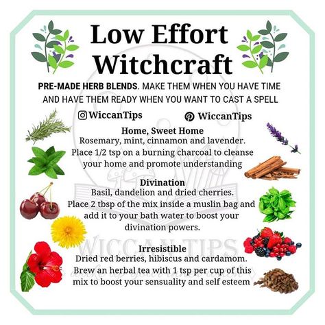 Herb Blends, Witch Herbs, Magia Das Ervas, Green Witchcraft, Natural Magic, Kitchen Witchery, Magical Herbs, Witchcraft For Beginners, Baby Witch