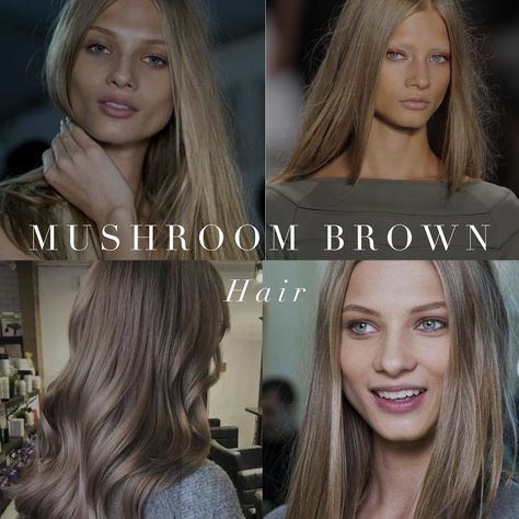 Mushroom Brown hair options for cool toned colour seasons. Cool Toned Hair, Palette Hair Color, Cool Toned Blonde Hair, Winter Skin Tone, Summer Skin Tone, Winter Blonde Hair, Winter Blonde, Toned Hair, Colour Analysis