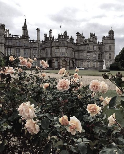 Castle Aesthetic Exterior, Aesthetic Exterior, Castle Aesthetic, Castle, Roses, Exterior, Building, Flowers, Pink