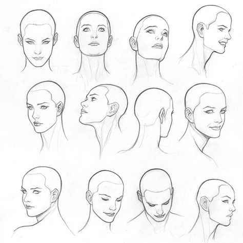 Frank Cho on Instagram: “Woman head model sheet. A model sheet that I made for myself and my art book, Drawing Beautiful Women. When people ask me how to draw a…” Dreamcatcher Drawing, Human Face Drawing, Charcoal Sketches, Drawing Beautiful, Frank Cho, Female Face Drawing, Drawing Heads, Female Drawing, Face Drawing Reference