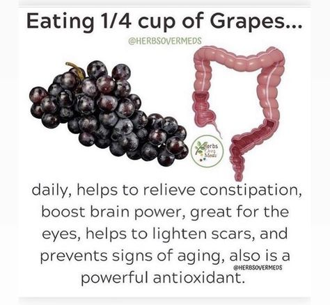 Grapes Benefits, Courge Spaghetti, Food Health Benefits, Info Board, Home Health Remedies, Health Knowledge, Brain Power, Healing Food, Good Health Tips