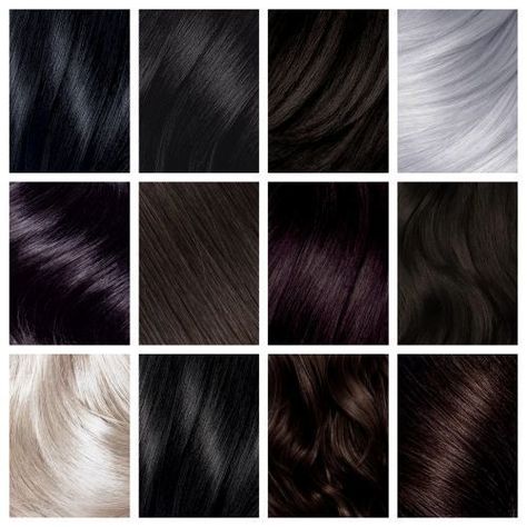 True Winter Hair, Palette Hair Color, True Winter Palette, Color Analysis Winter, True Winter Color Palette, Hair Color Swatches, Cool Winter Color Palette, Deep Winter Palette, Winter Hair Colors