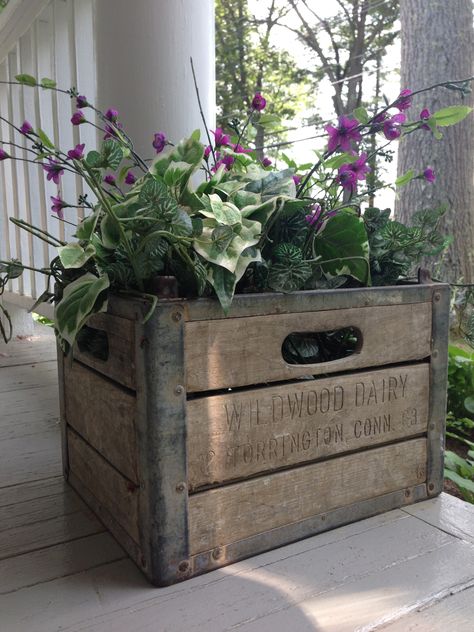 Vintage wooden milk crate becomes porch "planter".  Compliments of Wildwood Dairy, Torrington CT Milk Crate Decor, Wooden Milk Crate, Wooden Crates Garden, Wooden Crates Projects, Wooden Crate Shelves, Crate Shelves Diy, Crate Decor, Old Wooden Crates, Crate Coffee Table