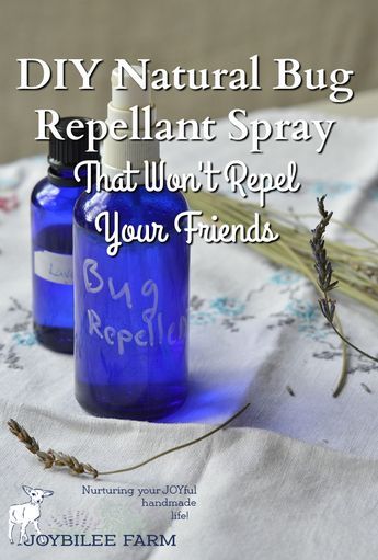 This bug repellent protects against biting flies, mosquitoes, ticks, midges, and black flies. However, note that each essential oil chosen for this blend is not 100% effective for all insect pests. It’s the synergistic blend that covers you against blood sucking insects. Fly Repellant Diy, Bug Repellent Spray, Farm Diy, Mosquito Spray, Fly Spray, Natural Repellent, Natural Bug Repellent, Insect Spray, Essential Oil Spray