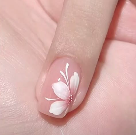 Cherry Blossom Nails Art, Lily Nails, Cherry Blossom Nails, Kutek Disney, Unghie Nail Art, Art Deco Nails, Manicure Nail Designs, Floral Nail Designs, Fancy Nails Designs